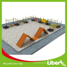 Nuevo diseño Parque de atracciones Tipo de juegos al aire libre Niños Zona de juegos de madera